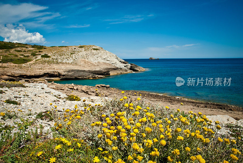 Cala Torta - Palma de mallorca